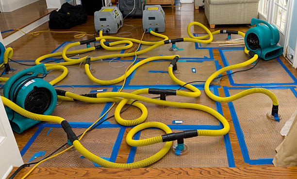 Professional Basement Flood Cleanup technician working in Two Harbors, MN